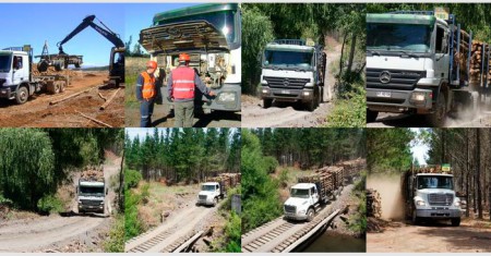 SERVICIO DE TRANSPORTE POR CARRETERA
